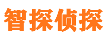 新野市婚外情调查